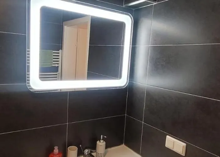 Möblierte In Apartment Ludwigshafen am Rhein